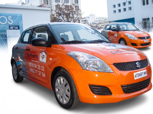 Habillage Automobile